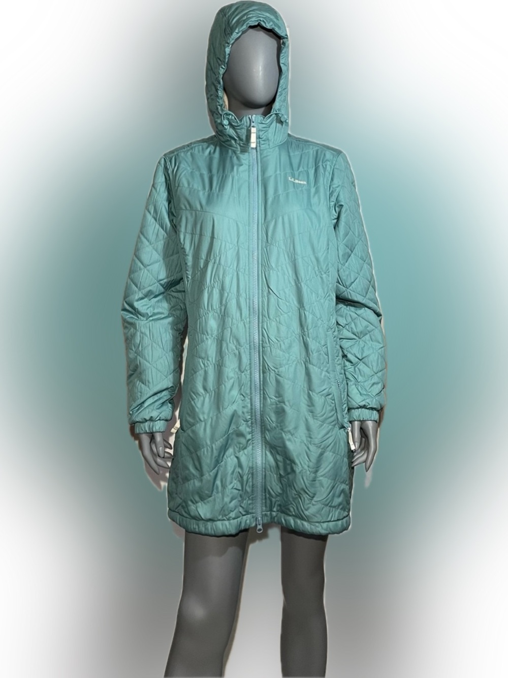 L.L.Bean Women’s Large Petite Fleece-Lined 40G PrimaLoft Black Eco Teal Coat GUC